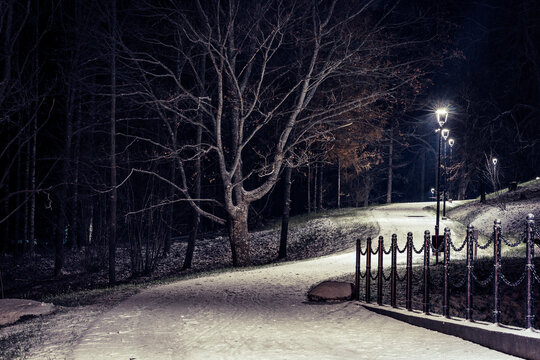 View of an illuminated park path at night with bare trees and a chain fence in Latvia.