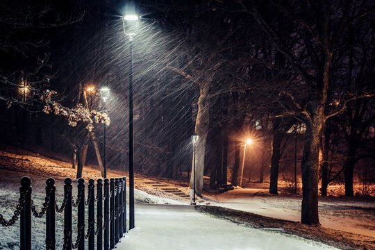 View of a snow-covered park path illuminated by street lamps during a winter night in Latvija.