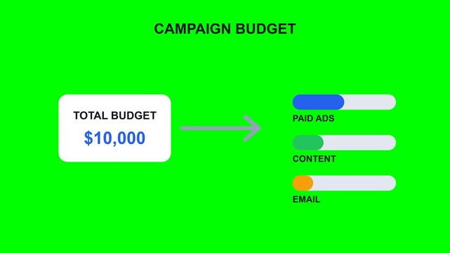 2D flat vector animation showing a marketing campaign budget distribution to paid ads, content, and email on a green screen.