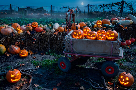 Spooky halloween jack o lanterns glowing with carved faces in a wooden cart on a pumpkin patch at night under full moon with eerie fog background
