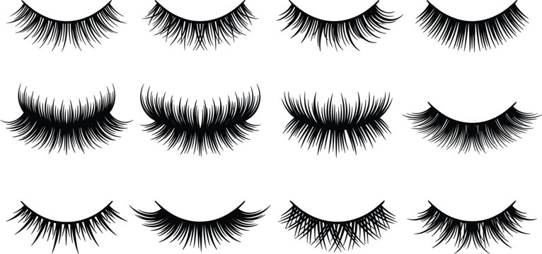 False Eyelashes Vector Set featuring Various Volume Styles Extensions and Silhouette Shapes for Beauty and Makeup Designs