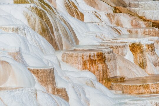 Sinter terraces with calcareous tuff deposits, hot springs, colorful mineral deposits, Palette Springs, Lower Terraces, Mammoth Hot Springs, Yellowstone National Park, Wyoming, USA
