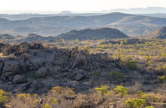 Barren landscape with rocky hills and acacias, African savannah in the evening light, Hobatere Concession, Kunene, Namibia