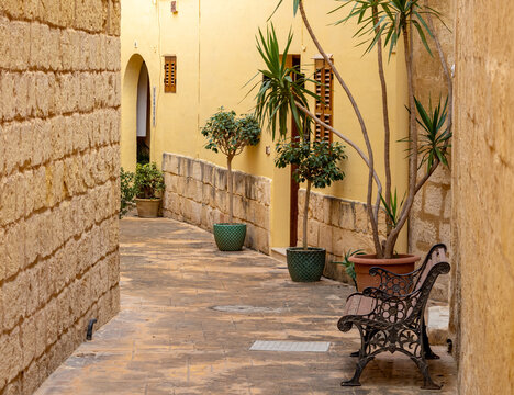 Narrow historic limestone alleyway lined with potted plants and bench in Malta