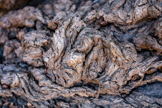 Structure of solid lava rock, Timanfaya National Park, Lanzarote, Canary Islands, Spain