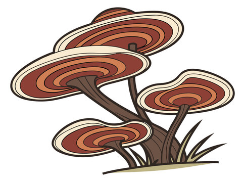 Forest-Mushroom Vintage Artwork With Detailed Fungi And Botanical Elements.