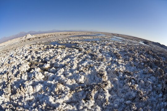 Salt formations covering the ground of the Reserva Nacional los Flamencos at the Salar de Atacama salt flats, Regi&oacute;n de Antofagasta, Chile, South America