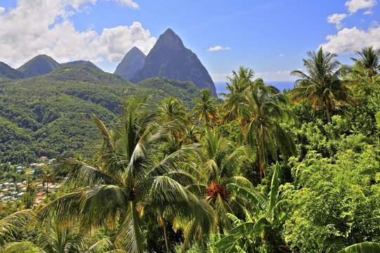 Tropical landscape with the two Pitons, Gros Piton 770m and Petit Piton 743m, Soufriere, St. Lucia, Lesser Antilles, West Indies, Caribbean Islands