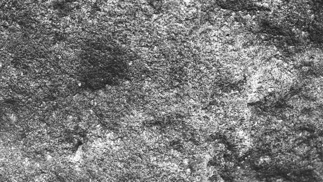 Fine granular stone surface in black and white, featuring subtle tonal variation and dense natural texture for an understated abstract background.