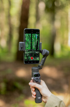 Smartphone video shooting process with professional stabilizer in park. Cameraman hands hold modern telephone device on gimbal setup.