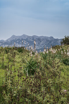 Incredible beauty along the hiking trails of the Grazalema Natural Park in Andalucia, Spain