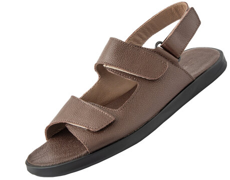 Brown Leather Sandal with Straps Isolated on White Background. Summer shoes cut out