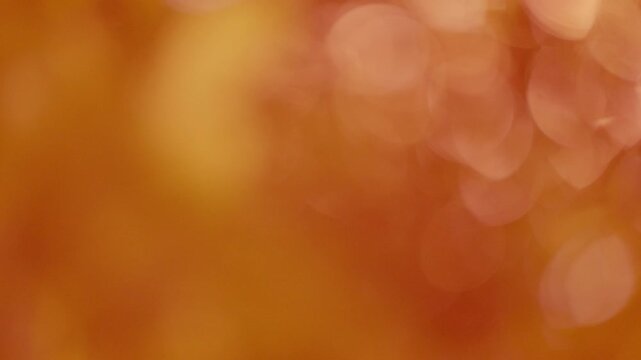 Glistening copper tree bokeh, warm golden hour sunlight reflecting on leaves, cozy autumn abstract background.