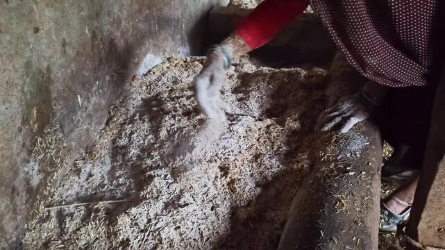 Elderly indian woman preparing animal feed with straw and flour mix in barn trough