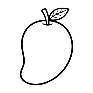 Mango Drawing