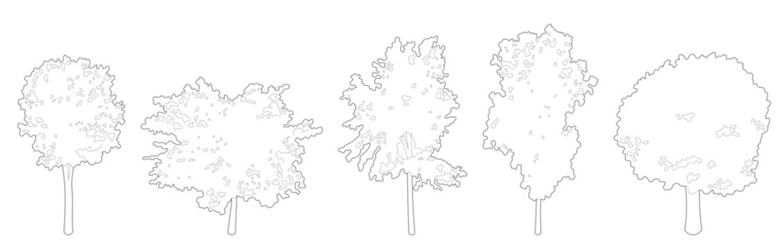 Architectural isometric tree collection displaying diverse deciduous foliage crowns and trunk line art elements for landscape axonometric and CAD rendering.