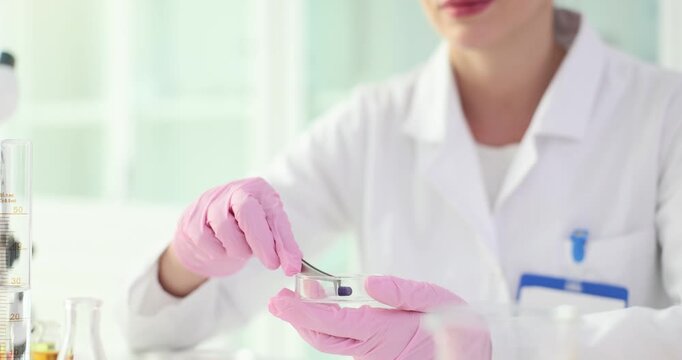 Woman pharmacist takes capsule out of Petri dish with forceps in lab slow motion. Female medical technician tests drugs in healthcare facility