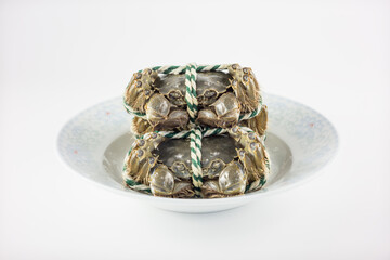 Two live crabs bound with striped rope are stacked on a white plate, presented as fresh raw seafood for culinary use. © tai