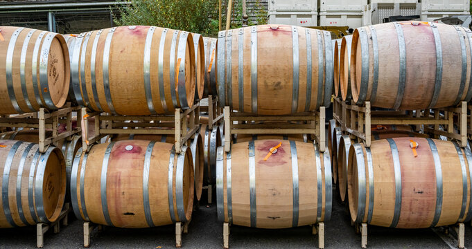 Troutdale, United States - 14 September 2026: View of oak wine barrels stacked on metal racks at McMenamins Edgefield Winery, featuring wooden staves and metal hoops.