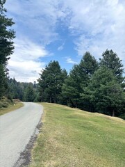Obraz premium Road through mountains and forest in hajibal Kashmir