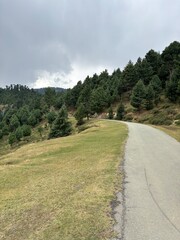 Obraz premium Road through mountains and forest in hajibal Kashmir