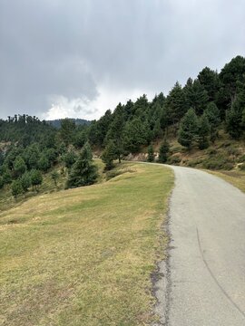 Road through mountains and forest in hajibal Kashmir