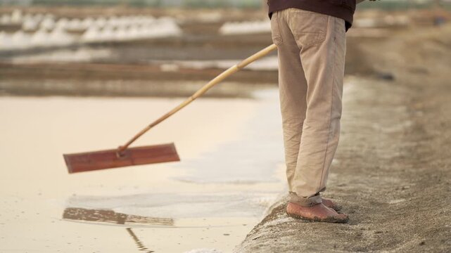 A southeast asian worker barefoot raking or harvesting sea salt using a wooden rake tool at evaporation pond or salt pan in rural village of indonesia, southeast asia, traditional authentic farming