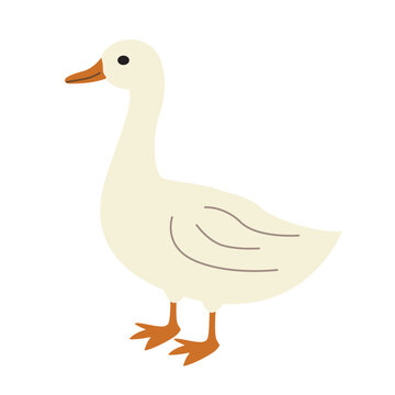 cute white goose or duck icon - vector illustration