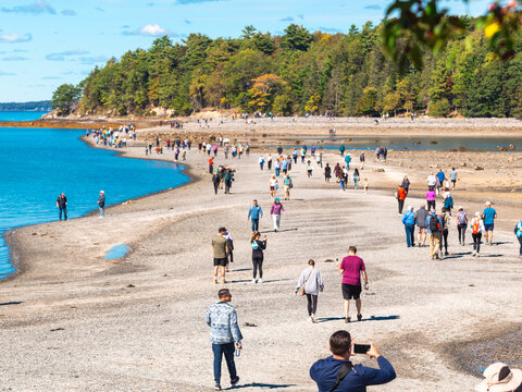 People Walking Bar Island Land Bridge at Low Tide Bar Harbor Maine
