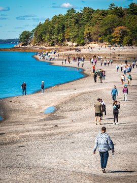 People Walking Bar Island Land Bridge at Low Tide Bar Harbor Maine