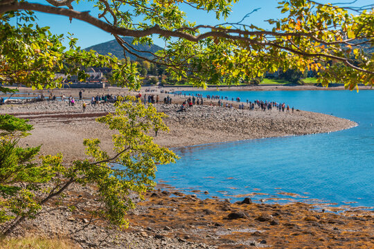 People Walking Bar Island Land Bridge at Low Tide Bar Harbor Maine