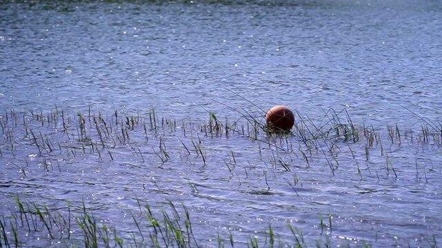 川に浮かぶオレンジのブイ（浮標）
