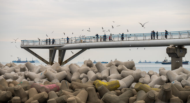 Busan, South Korea - 07 February 2026: View of a pedestrian pier over concrete tetrapods with people walking and seagulls flying above the sea in Busan.