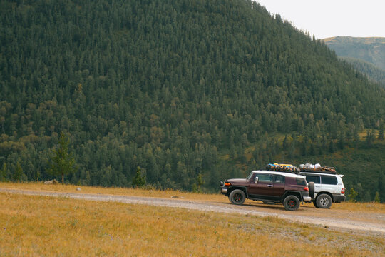 Offroad vehicle parked on mountain road near dense pine forest edge