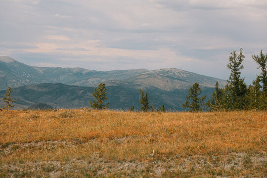 Sunlit golden grass on high plateau with dark rocky mountains behind