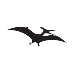 Pterodactyl silhouette against a white background depicts prehistoric flight © MstLaila