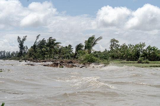 Noakhali, Bangladesh - 15 August 2026: View of strong winds bending palm trees along a flooded, rough coastline in Noakhali, Chittagong Division, Bangladesh.