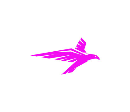 Magenta Flying Eagle Logo Vector