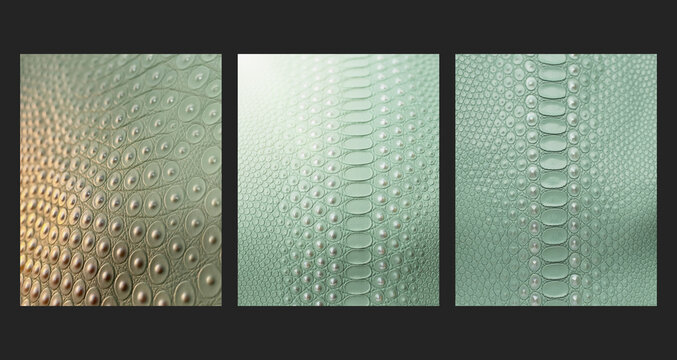 Exotic leather triptych background, sage green reptile leather with pearl granules, set of 3 luxury panels side by side with copy space for banner, poster and fashion design