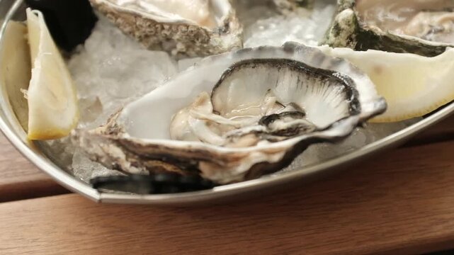 Fresh raw oysters on ice with lemon wedges and a small bowl of sauce in a metal tray. For seafood restaurant promotions, culinary shows, gourmet dining content, or luxury food commercials.