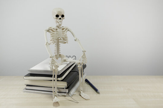 Skeleton Figure Sitting on Books for Education Concept