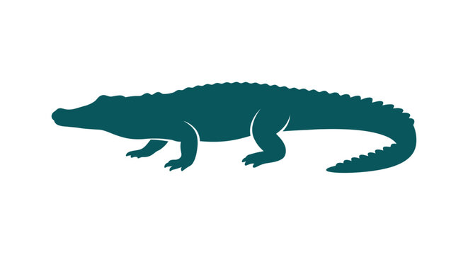 Dark teal alligator silhouette on a white background a reptile profile view