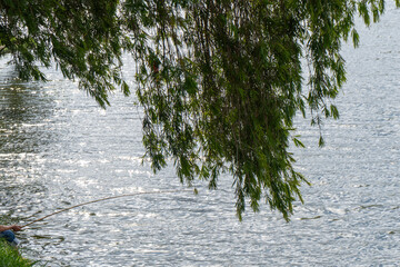 Person fishing under willow tree by riverside © IbragimovN