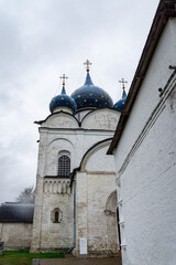 view of the Kremlin Museum complex and the Cathedral of the Nativity of the Blessed Virgin Mary © kirillk
