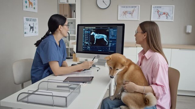 Caucasian female veterinarian showing canine X-ray scan on computer screen to young adult client holding Shiba Inu dog. Clip suits veterinary medicine campaigns and animal clinic advertising