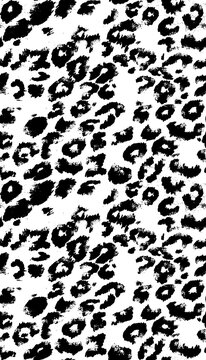 Seamless black and white leopard skin pattern texture background