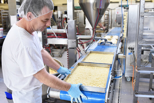 industrial production of cakes and tarts in a large bakery on an assembly line