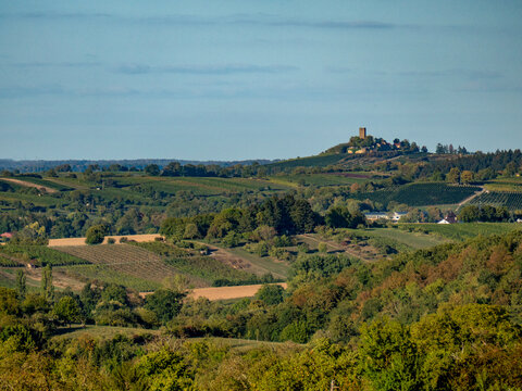 Weinberge im Sp&auml;tsommer