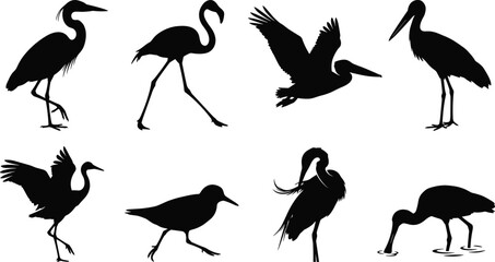 Fototapeta premium Set of black silhouettes of waterbirds and wading birds featuring herons, flamingos, and pelicans on isolated white background