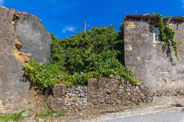 An overgrown ruined stone house  stands along an asphalt road © wundermann